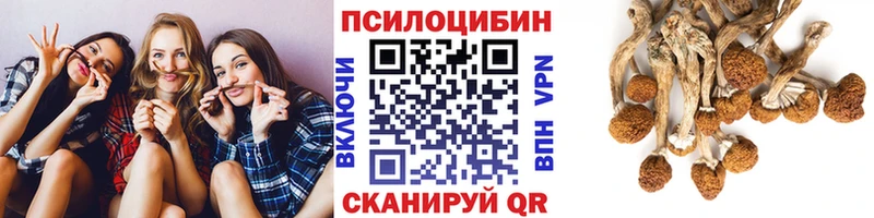 Псилоцибиновые грибы мицелий  цена   Краснознаменск 